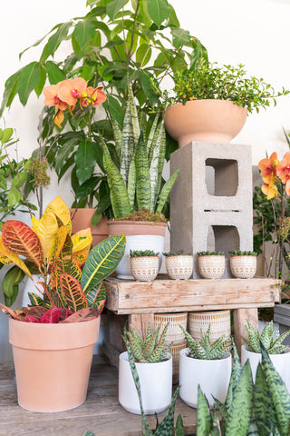 Pots and Planters