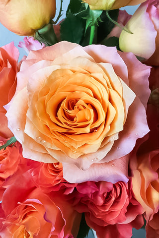 Hand-tied Bouquet of Roses (Other Colours)