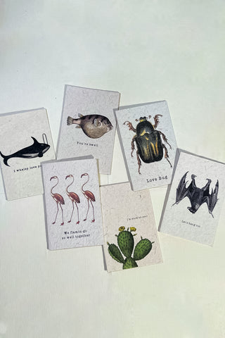Recycled Paper "Cheeky Critters" Cards