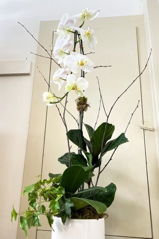 Mixed planter with large orchid