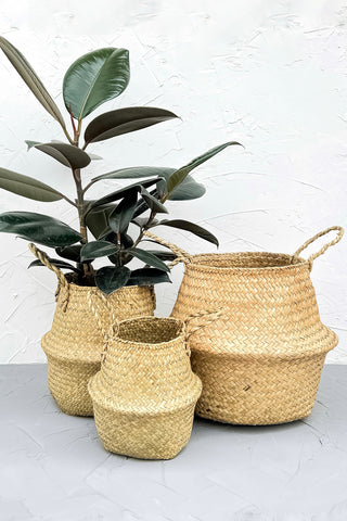 Seagrass belly basket