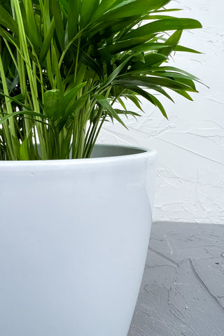 Luna Ceramic Pot