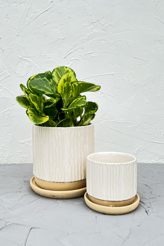 Isabella Two-tone ceramic pot