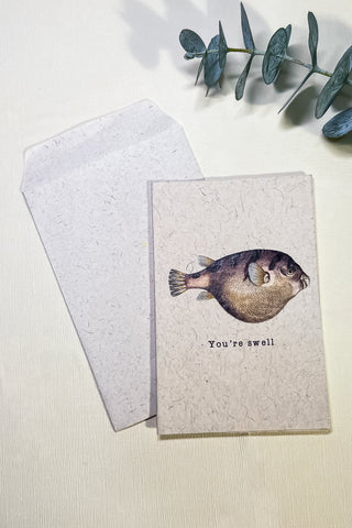 Recycled Paper "Cheeky Critters" Cards