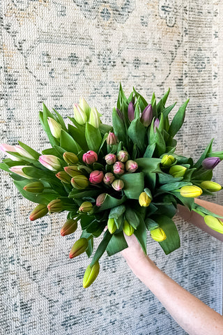 Local Tulips by the bunch