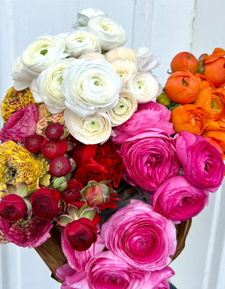 Local Ranunculus by the bunch