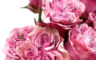 Hand-tied Bouquet of Roses (Other Colours)