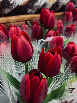 Holiday Red Local Tulip Bunches