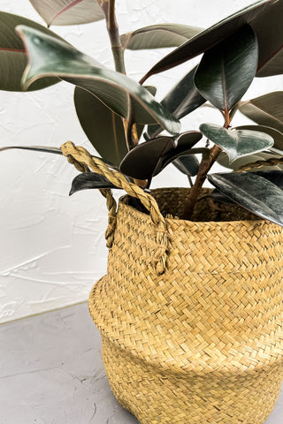 Seagrass belly basket
